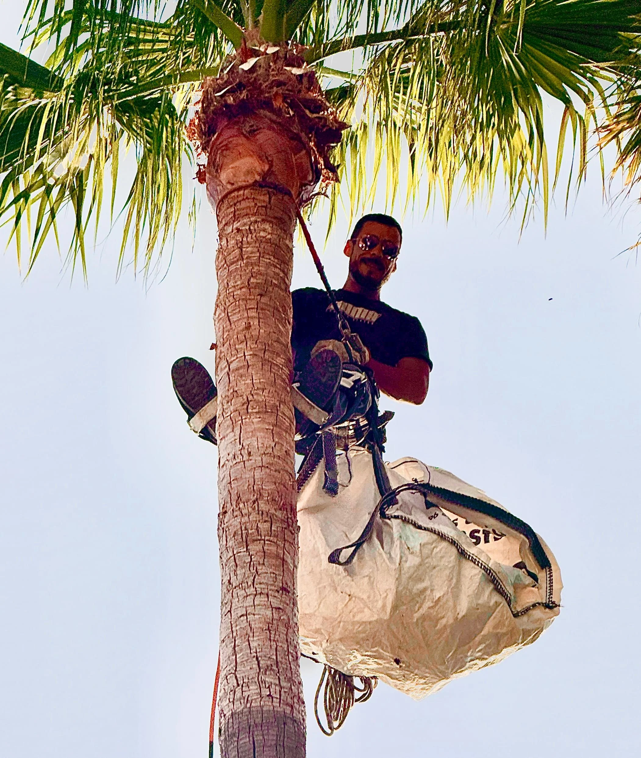Jorge García - El Mono Verde