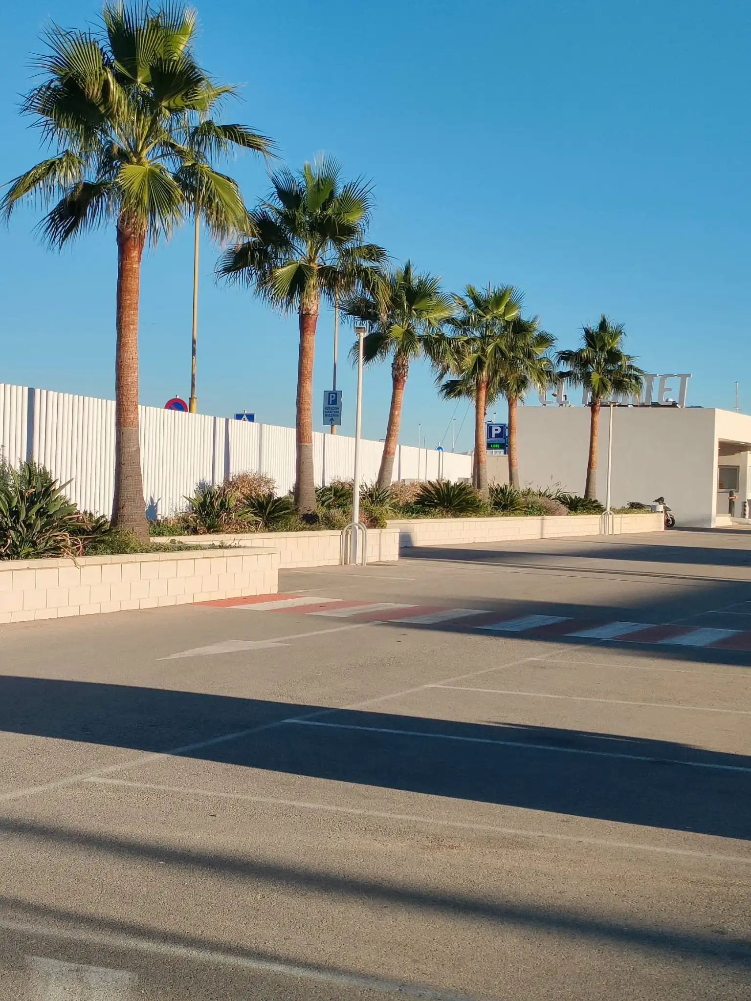 Mantenimiento profesional de palmeras en El Portet, Denia